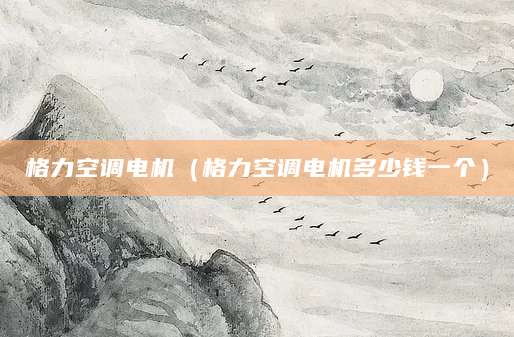 格力空调电机（格力空调电机多少钱一个）