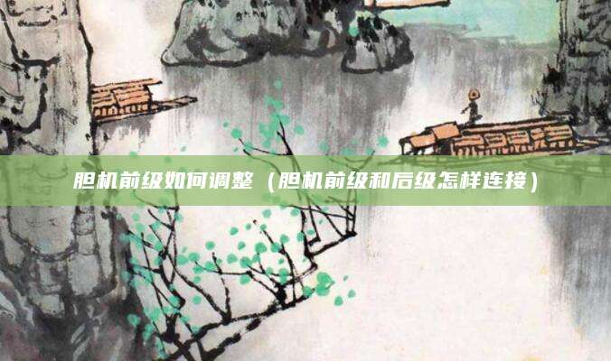 胆机前级如何调整（胆机前级和后级怎样连接）
