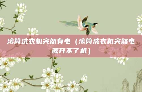 滚筒洗衣机突然有电（滚筒洗衣机突然电源开不了机）