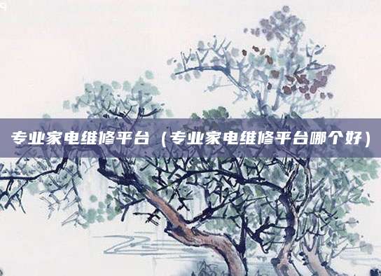 专业家电维修平台（专业家电维修平台哪个好）
