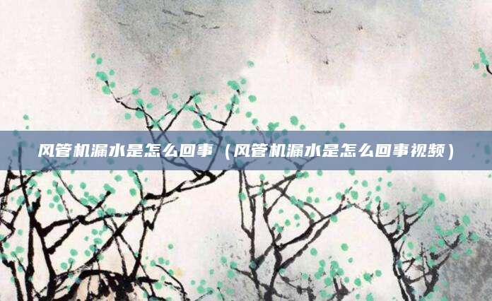 风管机漏水是怎么回事（风管机漏水是怎么回事视频）