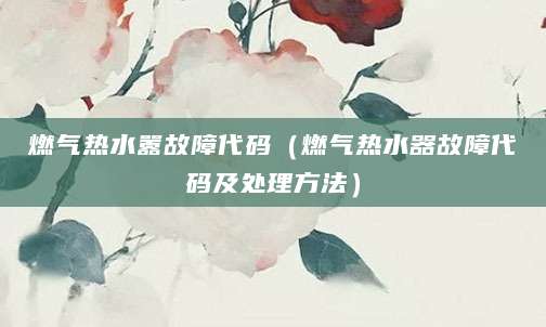 燃气热水嚣故障代码（燃气热水器故障代码及处理方法）