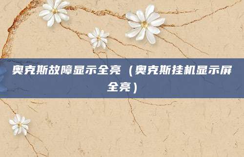 奥克斯故障显示全亮（奥克斯挂机显示屏全亮）