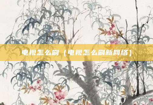 电视怎么刷（电视怎么刷新网络）