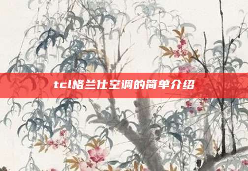 tcl格兰仕空调的简单介绍