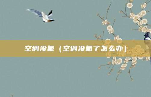 空调没氟（空调没氟了怎么办）