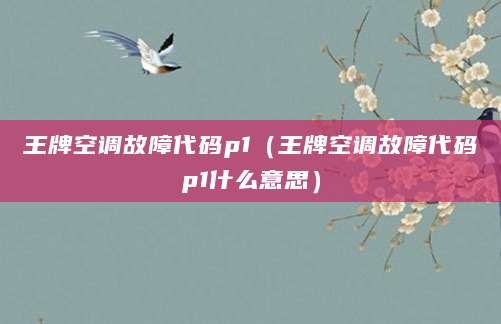 王牌空调故障代码p1（王牌空调故障代码p1什么意思）