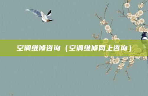空调维修咨询（空调维修网上咨询）