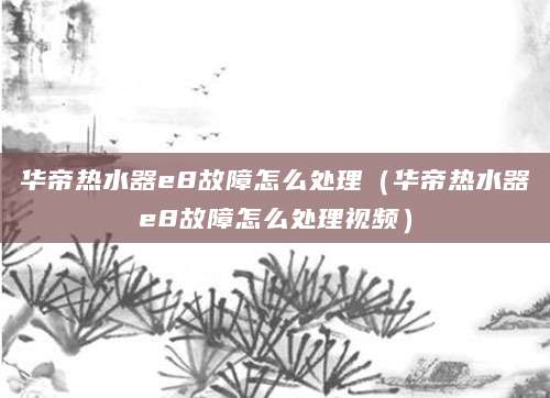 华帝热水器e8故障怎么处理（华帝热水器e8故障怎么处理视频）