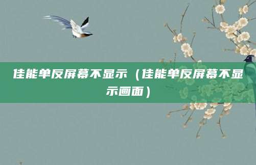 佳能单反屏幕不显示（佳能单反屏幕不显示画面）