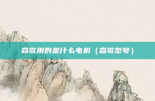森歌用的是什么电机（森歌型号）