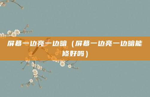 屏幕一边亮一边暗（屏幕一边亮一边暗能修好吗）