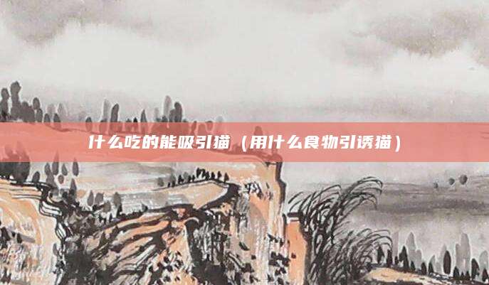 什么吃的能吸引猫（用什么食物引诱猫）