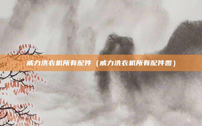 威力洗衣机所有配件（威力洗衣机所有配件图）
