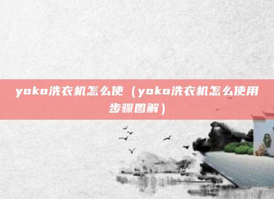 yoko洗衣机怎么使（yoko洗衣机怎么使用步骤图解）