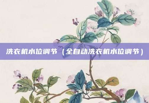 洗衣机水位调节（全自动洗衣机水位调节）