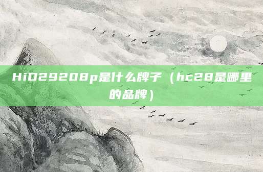 HiD29208p是什么牌子（hc28是哪里的品牌）