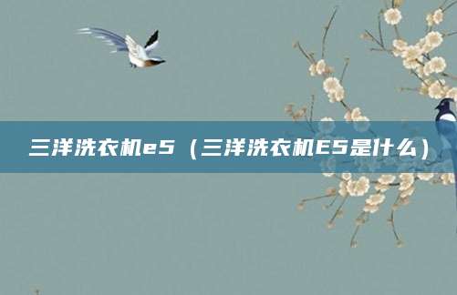 三洋洗衣机e5（三洋洗衣机E5是什么）