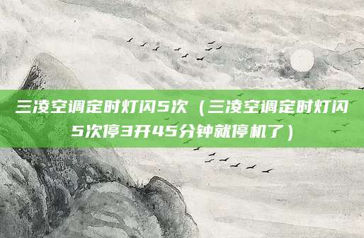 三凌空调定时灯闪5次（三凌空调定时灯闪5次停3开45分钟就停机了）