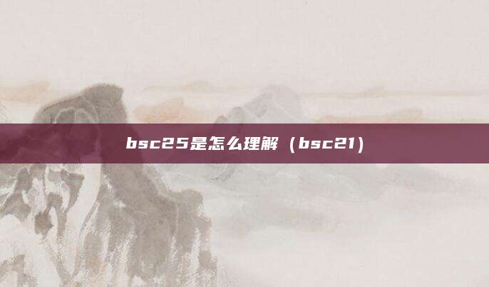 bsc25是怎么理解（bsc21）