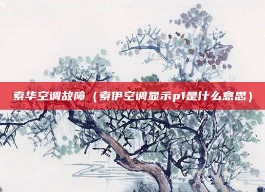 索华空调故障（索伊空调显示p1是什么意思）