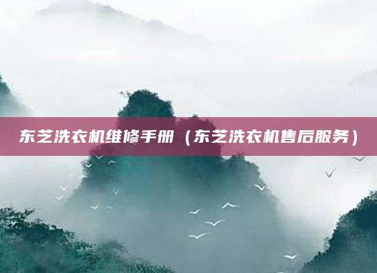 东芝洗衣机维修手册（东芝洗衣机售后服务）