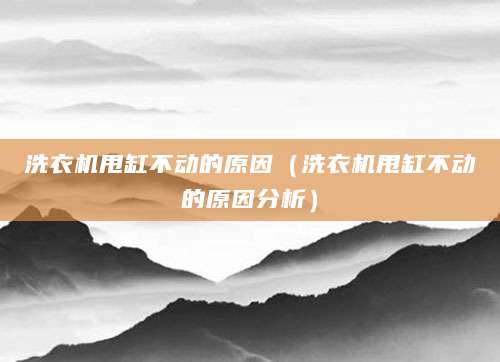 洗衣机甩缸不动的原因（洗衣机甩缸不动的原因分析）