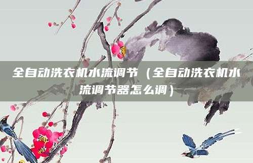 全自动洗衣机水流调节(全自动洗衣机水流调节器怎么调)