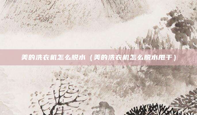 美的洗衣机怎么脱水(美的洗衣机怎么脱水甩干)