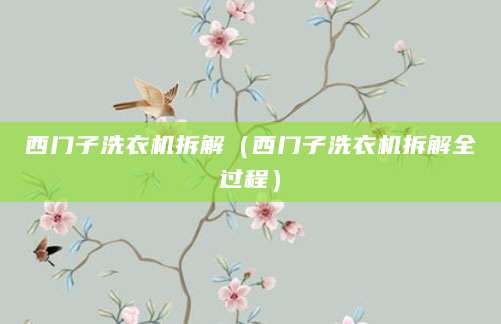 西门子洗衣机拆解(西门子洗衣机拆解全过程)