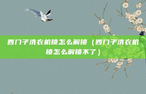 西门子洗衣机锁怎么解锁(西门子洗衣机锁怎么解锁不了)