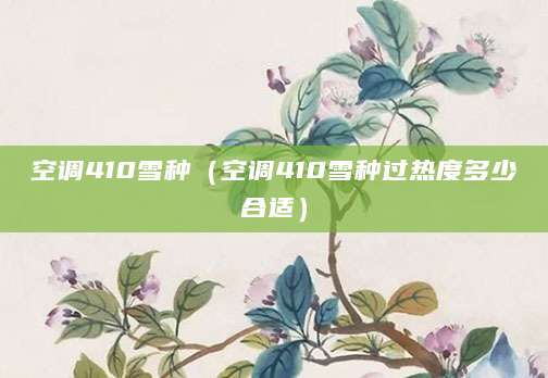 空调410雪种（空调410雪种过热度多少合适）
