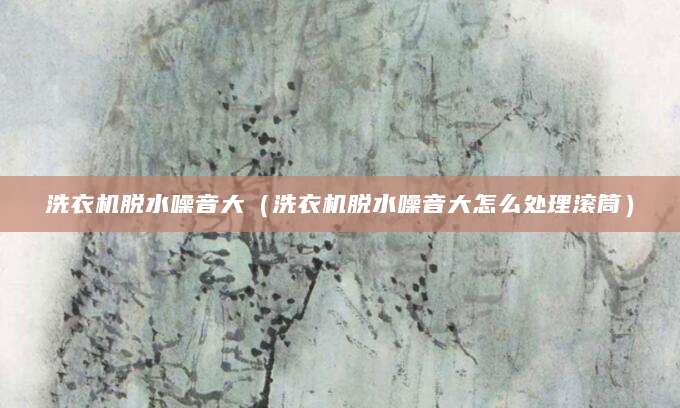 洗衣机脱水噪音大（洗衣机脱水噪音大怎么处理滚筒）