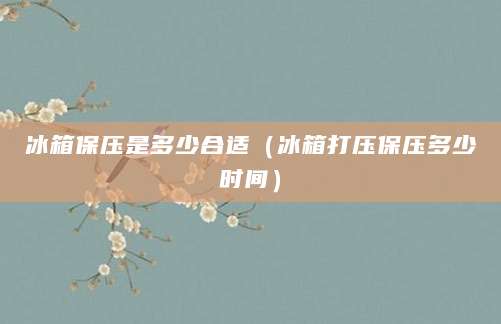 冰箱保压是多少合适（冰箱打压保压多少时间）