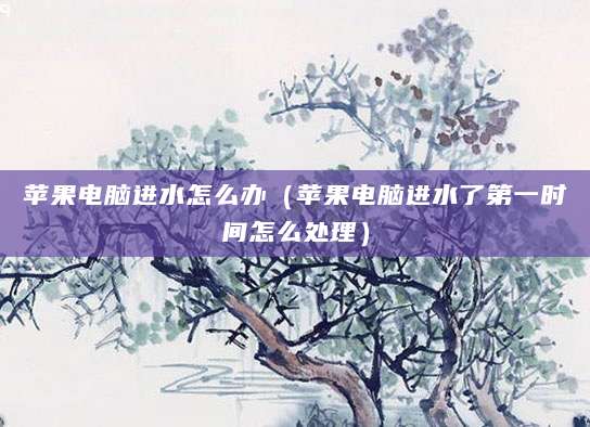 苹果电脑进水怎么办（苹果电脑进水了第一时间怎么处理）