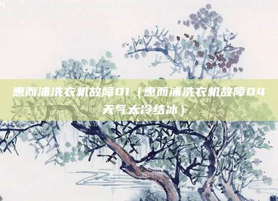 惠而浦洗衣机故障01（惠而浦洗衣机故障04 天气太冷结冰）
