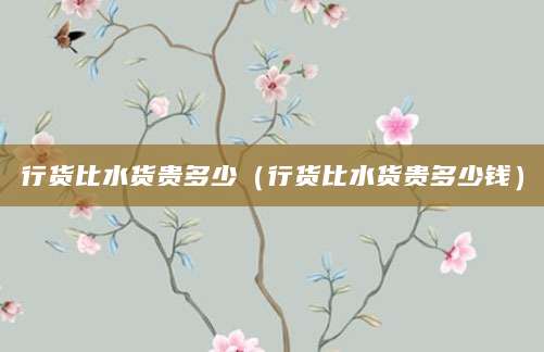 行货比水货贵多少（行货比水货贵多少钱）