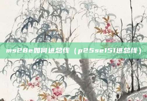 ms28e如何进总线（p25se151进总线）