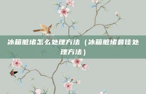 冰箱脏堵怎么处理方法（冰箱脏堵最佳处理方法）