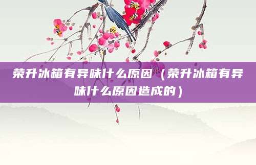荣升冰箱有异味什么原因(荣升冰箱有异味什么原因造成的)