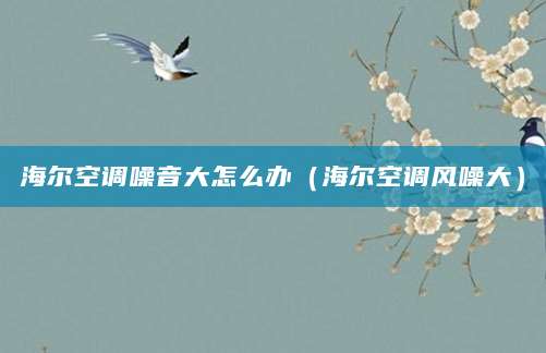 海尔空调噪音大怎么办（海尔空调风噪大）