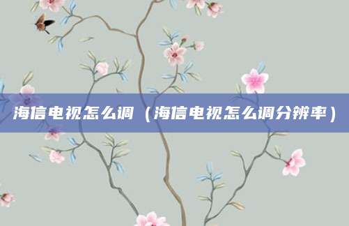 海信电视怎么调（海信电视怎么调分辨率）