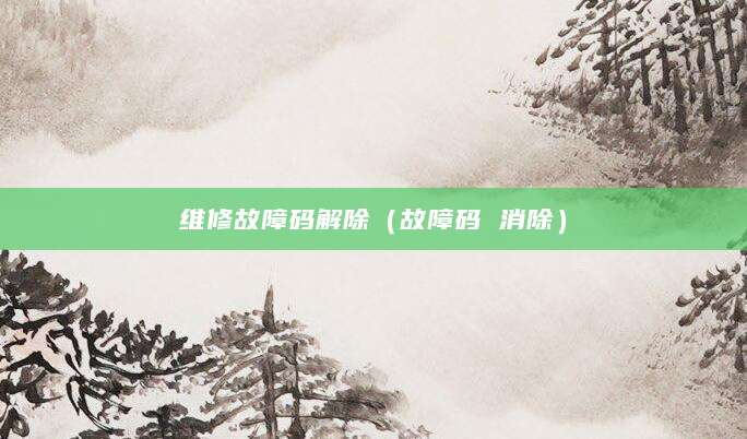 维修故障码解除（故障码 消除）