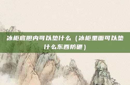 冰柜底胆内可以垫什么(冰柜里面可以垫什么东西防砸)