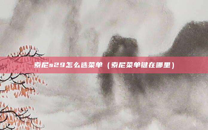 索尼s29怎么选菜单（索尼菜单键在哪里）