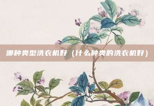 哪种类型洗衣机好（什么种类的洗衣机好）