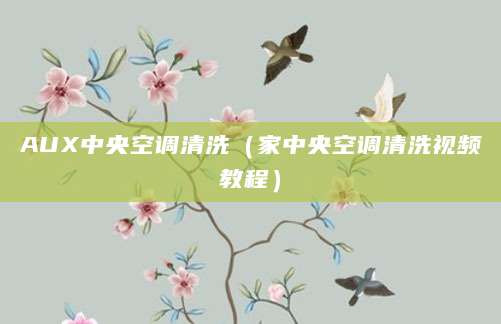 AUX中央空调清洗（家中央空调清洗视频教程）