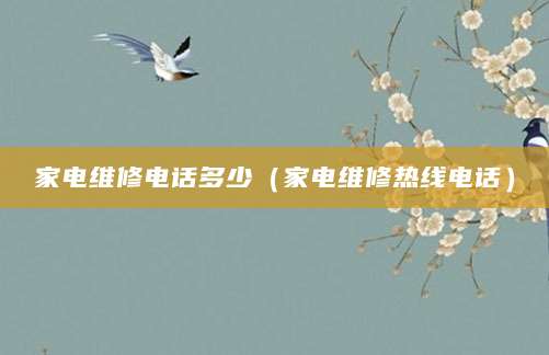 家电维修电话多少（家电维修热线电话）