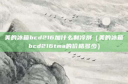 美的冰箱bcd216加什么制冷剂（美的冰箱bcd216tma的价格多少）