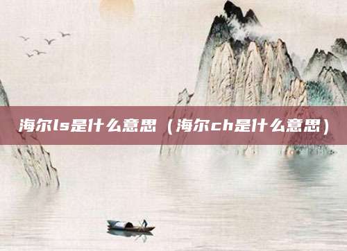 海尔ls是什么意思(海尔ch是什么意思)